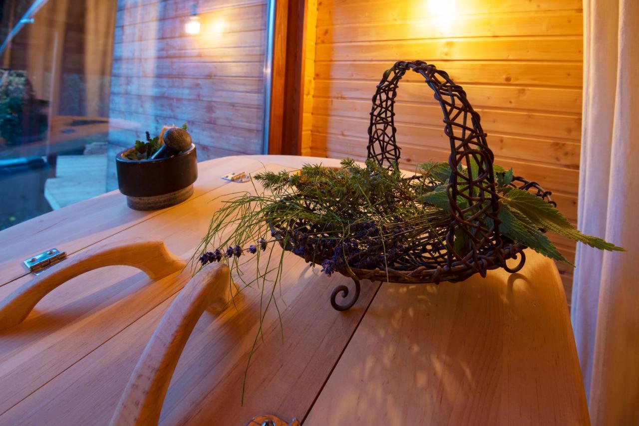 Pinus Villas Lodge With Private Jacuzzi & Phyto-Sauna Retreat Zheleznitsa 외부 사진