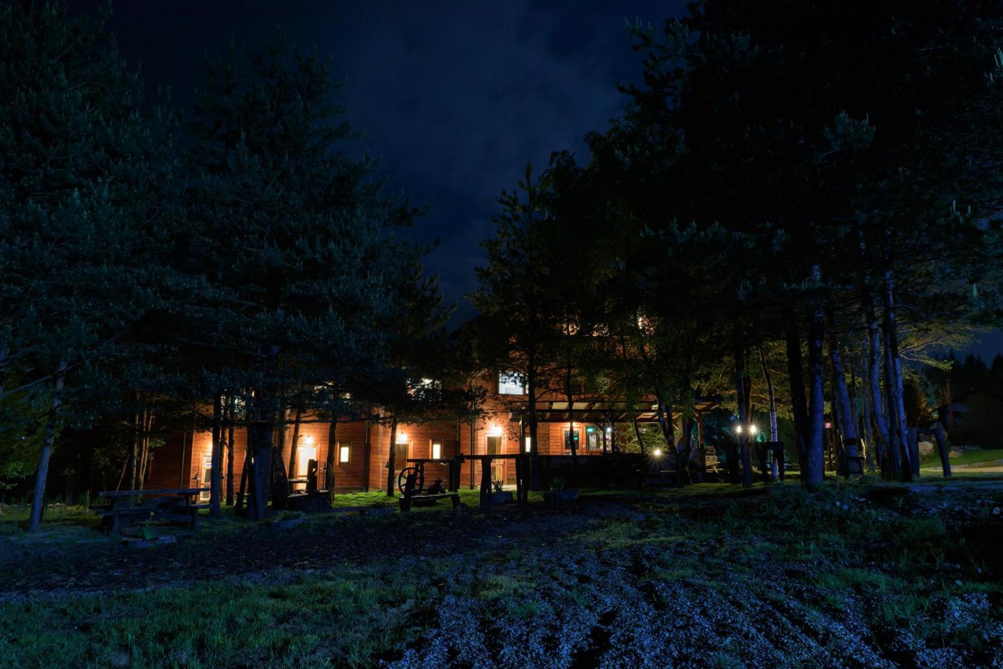 Pinus Villas Lodge With Private Jacuzzi & Phyto-Sauna Retreat Zheleznitsa 외부 사진