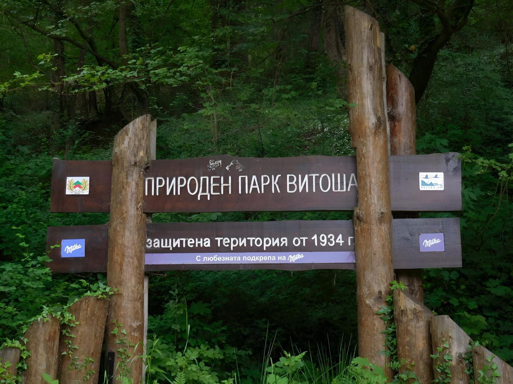 Pinus Villas Lodge With Private Jacuzzi & Phyto-Sauna Retreat Zheleznitsa 외부 사진
